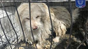 Relacionada whatsapp-image-2026-01-09-at-110722.jpg