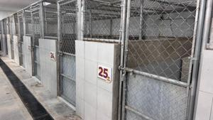 Relacionada 696145b2dca3b__696145b2dca3c.jpg