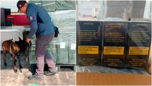 Relacionada fotojet-7.jpg