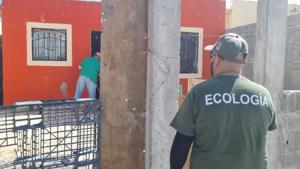 Relacionada 69615d016059c__69615d016059d.jpg