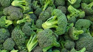 Relacionada istock-593310638-scaled-e1732109584214.jpg