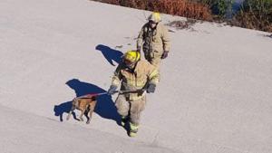 Relacionada whatsapp-image-2026-01-09-at-31529-pm.jpg