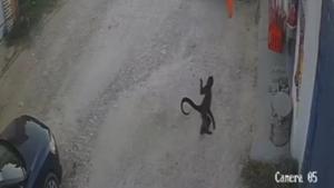 Relacionada screenshot-2026-01-09-171735-1.jpg