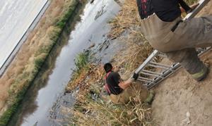 Relacionada whatsapp-image-2026-01-10-at-113132-am.jpg