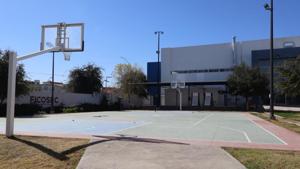 Relacionada img-20260111-wa00152.jpg