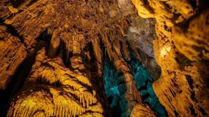 Relacionada img-20260111-wa00182.jpg