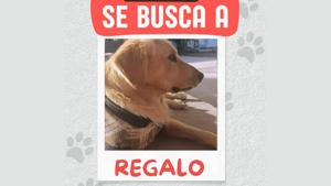 Relacionada whatsapp-image-2026-01-11-at-163018.jpg