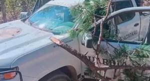 Relacionada 25192.jpg