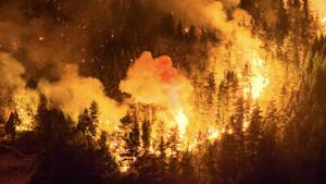 Relacionada a286efccd69af96dd1e660fe826aefde746d1acb.jpg