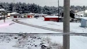 Relacionada 615232098_1211306814490326_6286745964285910953_n.jpg