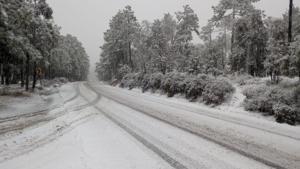 Relacionada 498498.jpg