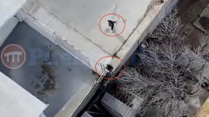 Relacionada captura-de-pantalla-2026-01-12-a-las-122156-pm.jpg