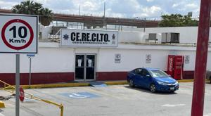 Relacionada cerecito.jpg