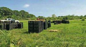 Relacionada descarga-15.jpg