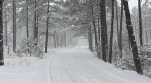 Relacionada principal_screenshot-2025-01-09-115746-am.jpg