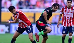 Relacionada whatsapp-image-2026-01-13-at-84432-am.jpg