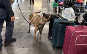 Relacionada whatsapp-image-2026-01-13-at-94755-am-1.jpg