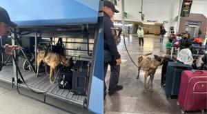 Relacionada descarga-21.jpg