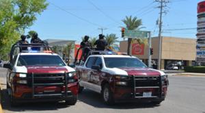 Relacionada download-2026-01-13t141748785.jpg