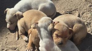 Relacionada descarga-33.jpg