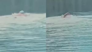 Relacionada nadando.jpg