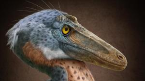 Relacionada screenshot-2026-01-13-195151-1.jpg