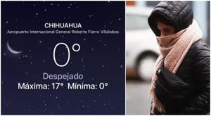 Relacionada chihuahua-cero.jpg