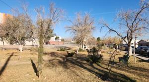 Relacionada descarga-42.jpg