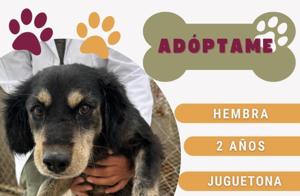 Relacionada whatsapp-image-2026-01-14-at-104822-am.jpg