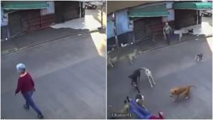 Relacionada fotojet-4.jpg