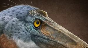 Relacionada download-2026-01-14t152947749.jpg