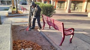 Relacionada 696805e43272e__696805e43272f.jpg