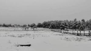 Relacionada img_8542.jpg