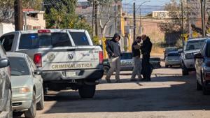 Relacionada inshot_20260115_115822878.jpg