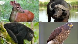 Relacionada fotojet-5.jpg