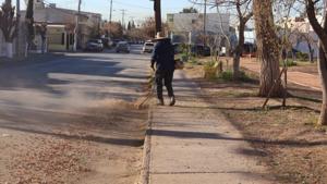 Relacionada whatsapp-image-2026-01-15-at-30019-pm.jpg