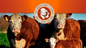 Relacionada 25539.jpg