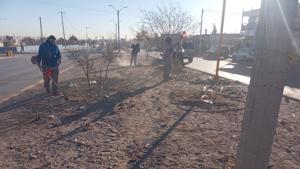 Relacionada 696a91c0f1262__696a91c0f1263.jpg