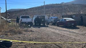 Relacionada inshot_20260117_104407504.jpg