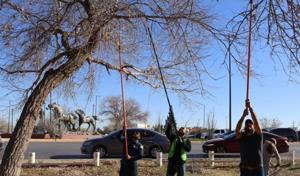 Relacionada whatsapp-image-2026-01-17-at-23905-pm.jpg