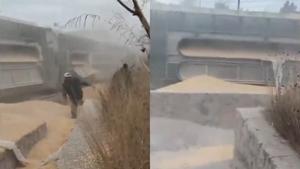 Relacionada vagones77f526f0-4698-42b0-8203-de459a14cb74.jpg