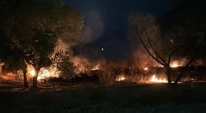 Relacionada principal_01d438d5-6fa4-4a0e-a764-66960fd76784.jpg