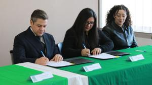 Relacionada inshot_20260119_111614405.jpg