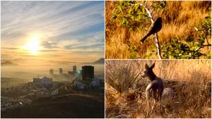 Relacionada fotojet-1.jpg