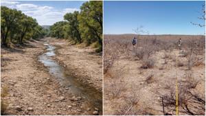 Relacionada fotojet-2.jpg