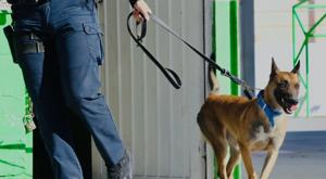 Relacionada descarga-2026-01-19t132038834.jpg