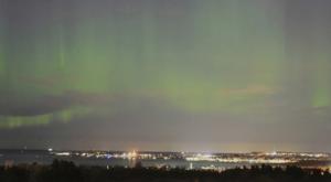 Relacionada download-2026-01-19t150654932.jpg