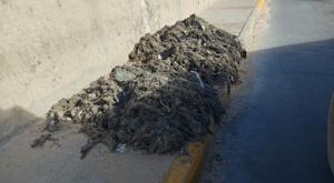 Relacionada descarga-2026-01-19t150044031.jpg