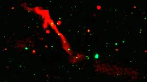 Relacionada imagen-optica-pan-starrs-muestra.jpg