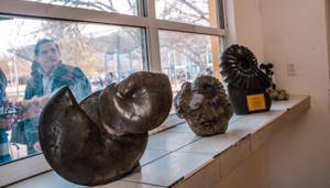 Relacionada whatsapp-image-2026-01-21-at-85220-am.jpg